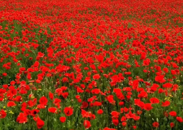 Appartement Magasch *